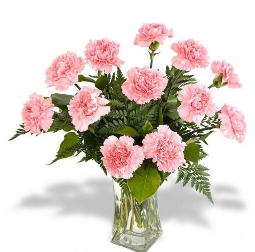 sweet carnations